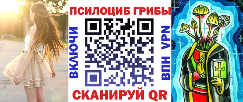 где купить наркоту  Зеленогорск  блэк спрут как войти  Галлюциногенные грибы Psilocybine cubensis 